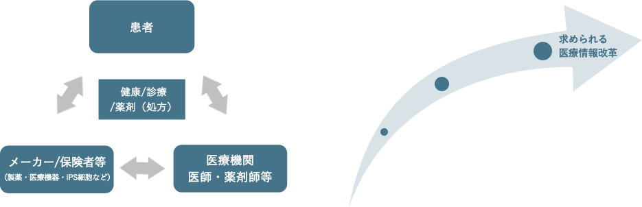 「日本の医療情報サービスは発展途上」